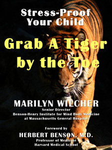 Catch A Tiger by the Toe by Marilyn Wilcher - e -book published by Inkslingers Press in Vero Beach